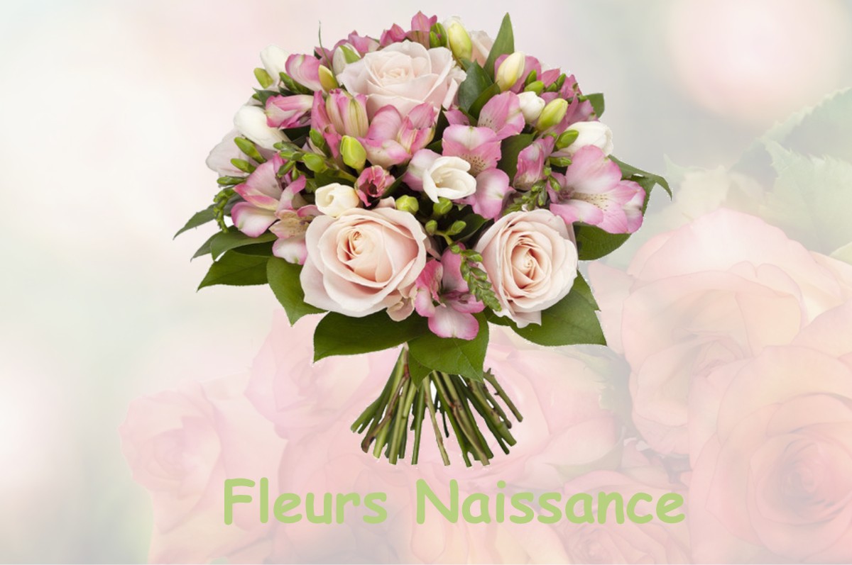 fleurs naissance CHEYSSIEU