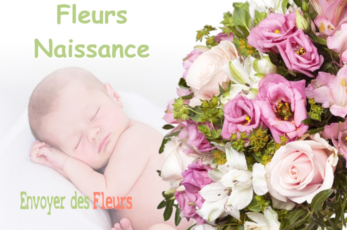 lIVRAISON FLEURS NAISSANCE à CHEYSSIEU